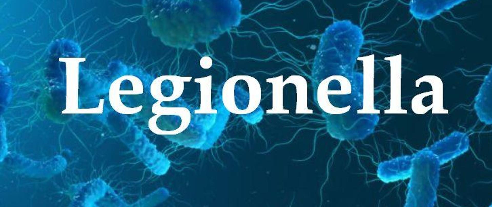 Legionella