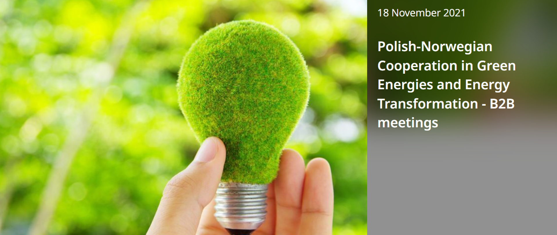 Zielone_technologie_i_transformacja_energetyczna_–_zaproszenie_na_wydarzenie_matchmakingowe
