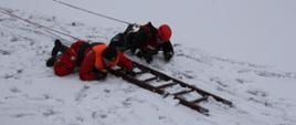 Zdjęcie przedstawia ćwiczących strażaków podczas ćwiczeń na lodzie