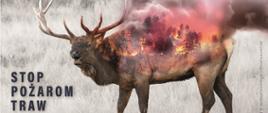 Stop pożarom traw - Plakat
