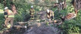 Przegląd zdarzeń z minionego tygodnia (14.06.2026-21.06.2026)