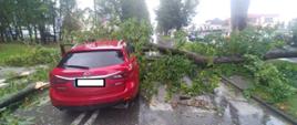 Zdjęcie przedstawia czerwony samochód kombi marki Mazda, przygnieciony złamanym drzewem.