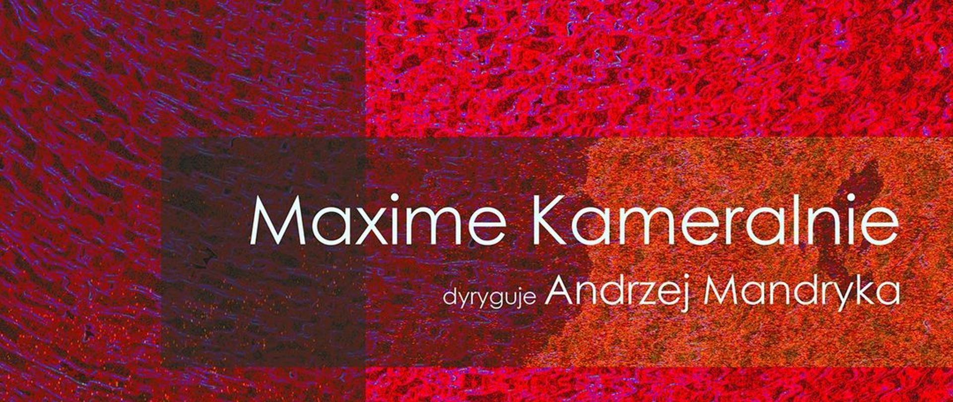 Plakat dotyczący koncertu "Maxime kameralnie" odbywającego się w dniu 18.10.2023 r. o godz. 18.00.