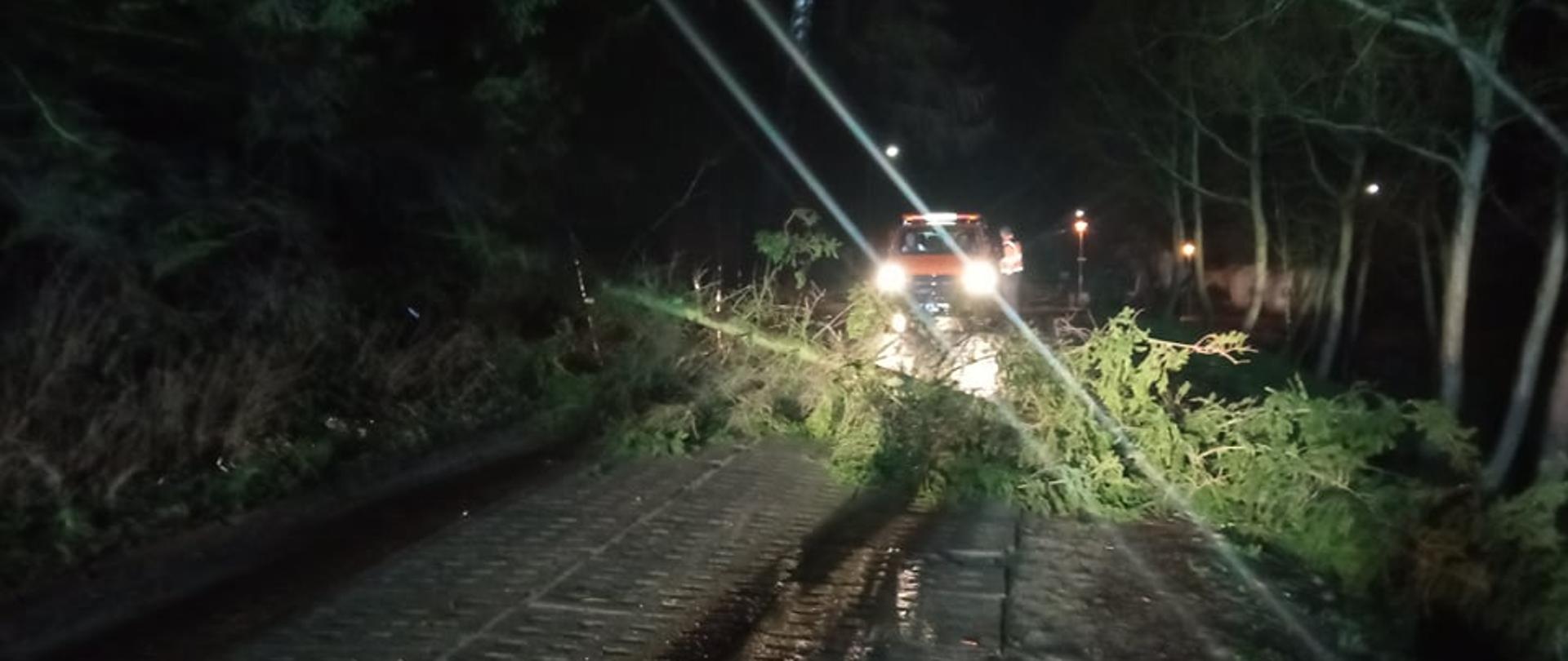 Przewrócone drzewo w poprzek drogi. W tle samochód strażacki.