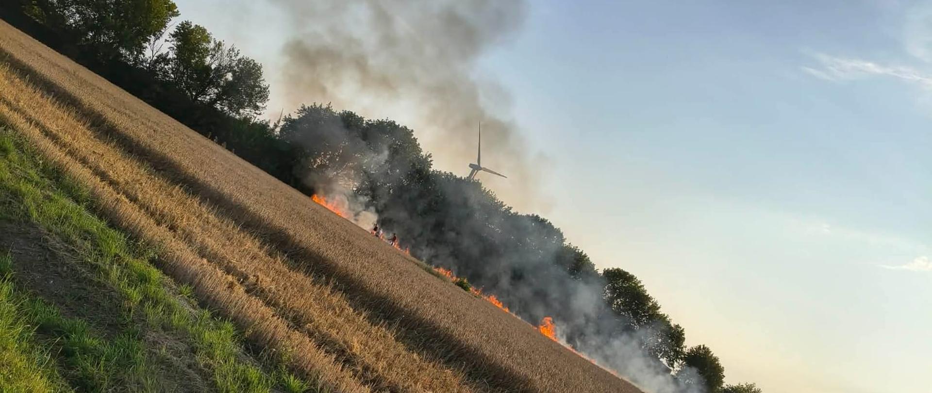 Pożar ścierniska na ulicy Warsztatowej