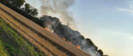 Pożar ścierniska na ulicy Warsztatowej