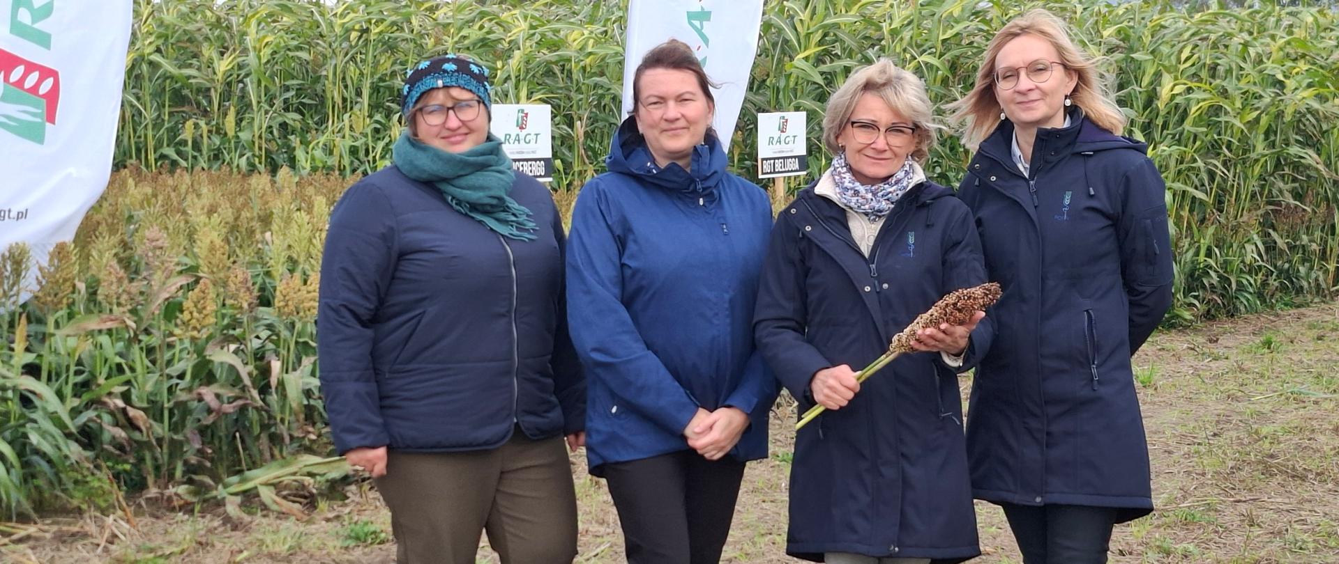 Szkolenie "Sorgo - czy warto je uprawiać?"