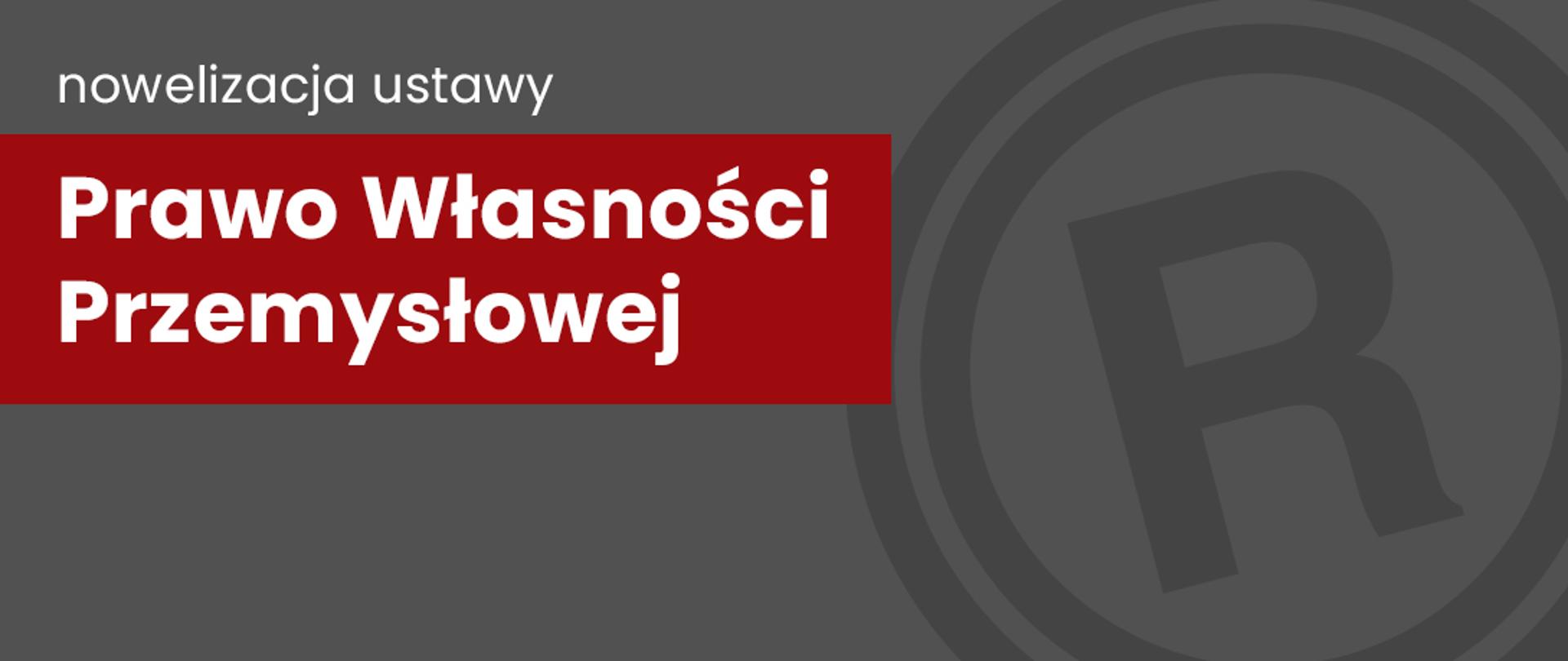 Logo nowelizacji ustawy prawo własności przemysłowej