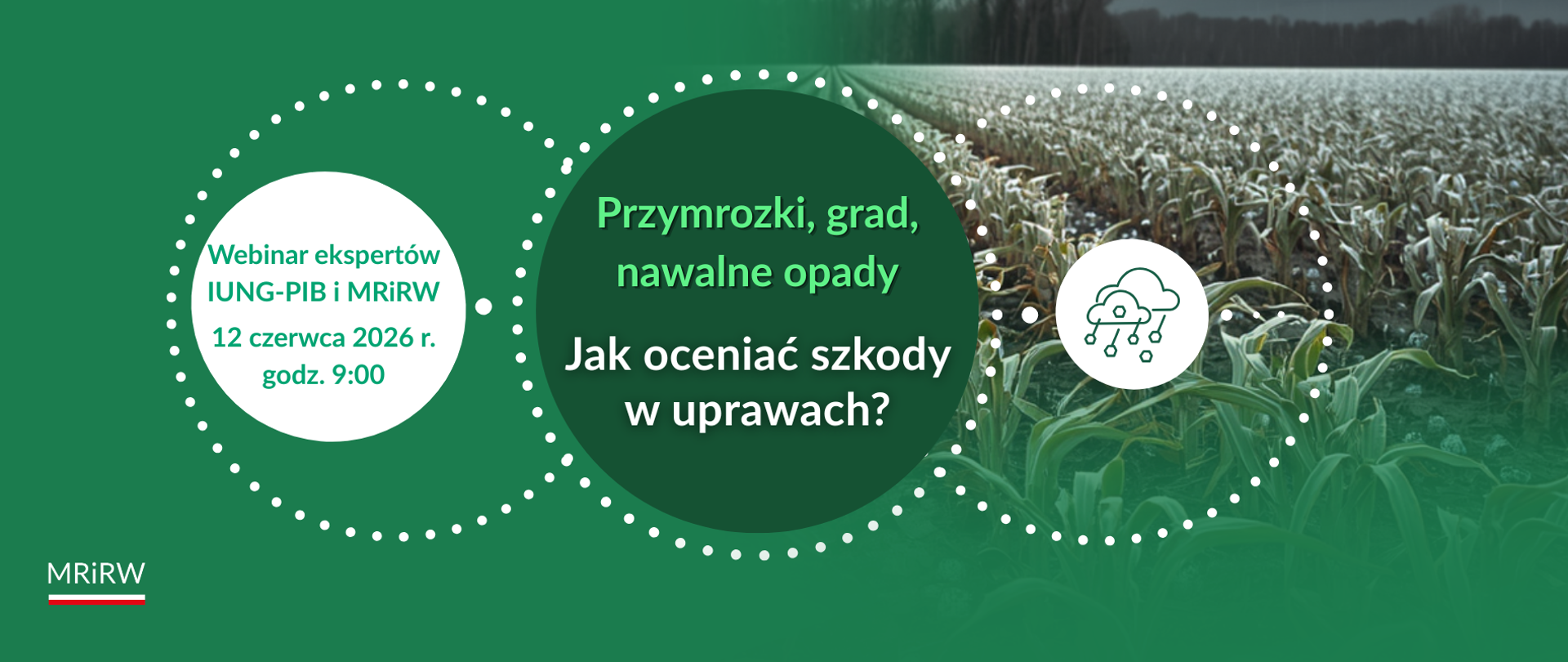 Główne