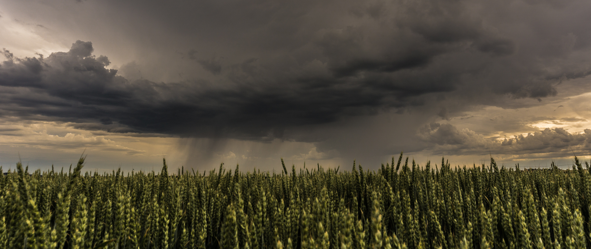 Niekorzystne warunki atmosferyczne