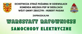 Warsztaty "Fire&Rescue - samochody elektryczne"
