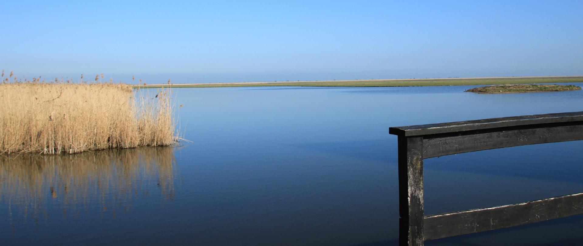 Międzynarodowy Dzień Krajobrazu 