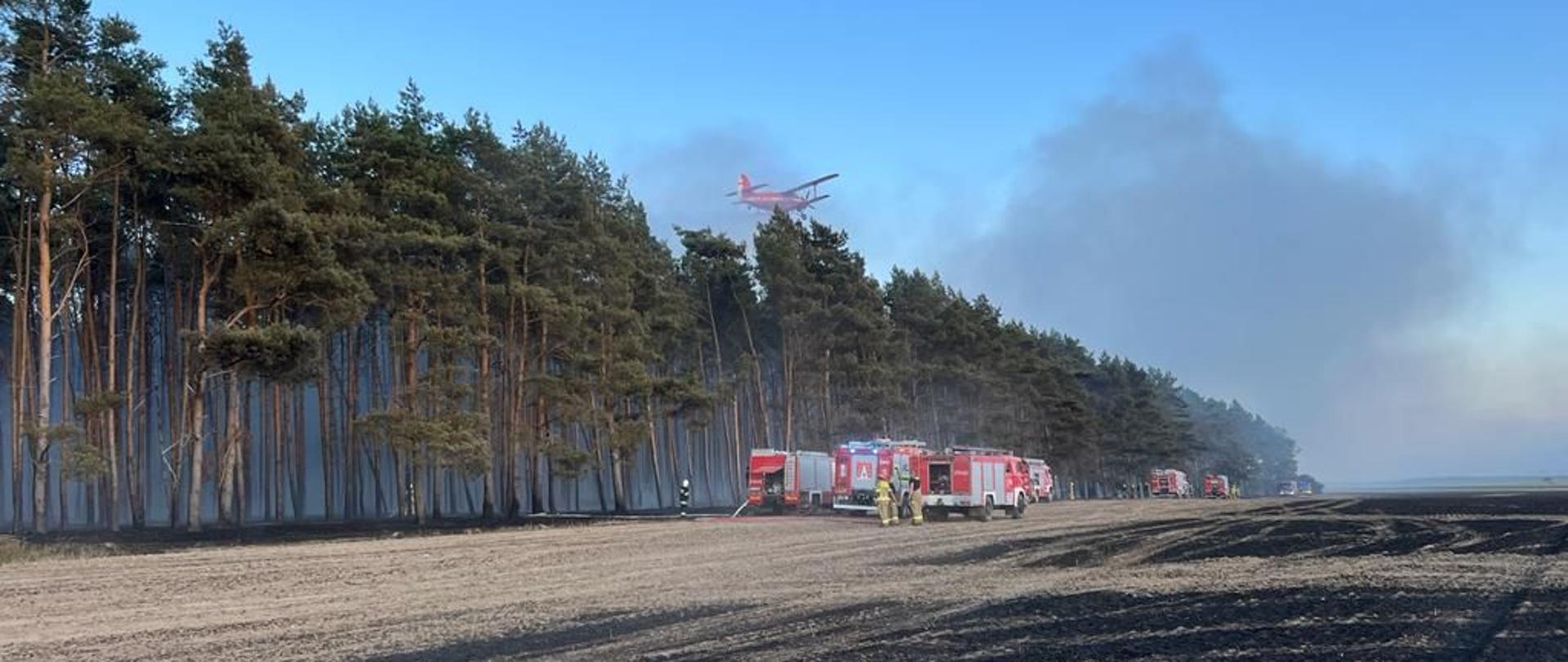 Wozy strażackie stojące na tle zadymionego lasu, nad lasem samolot patrolowo gaśniczy.