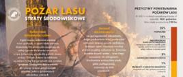 Pożar Lasu - lasy Państwowe - straty