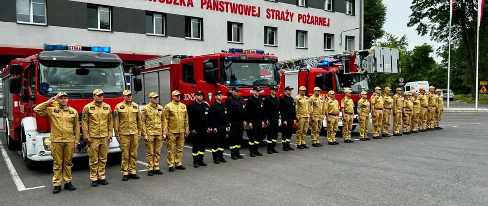 Załoga KW PSP w Opolu oraz JRG nr 2 w Opolu oddaje hołd poległemu żołnierzowi.