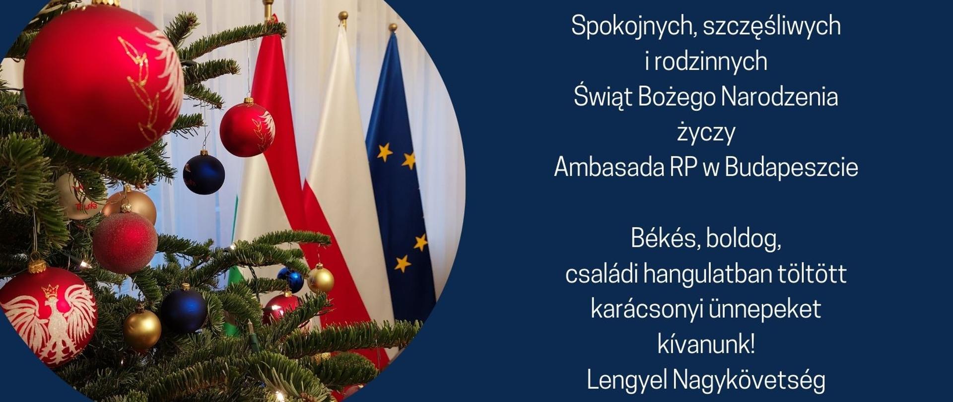 Życzenia bożonarodzeniowe 2023 od Ambasady RP w Budapeszcie