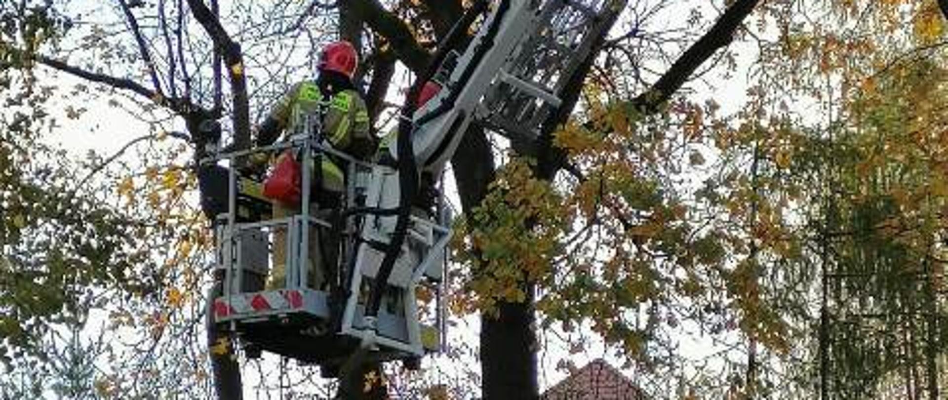 Usuwanie skutków silnego wiatru