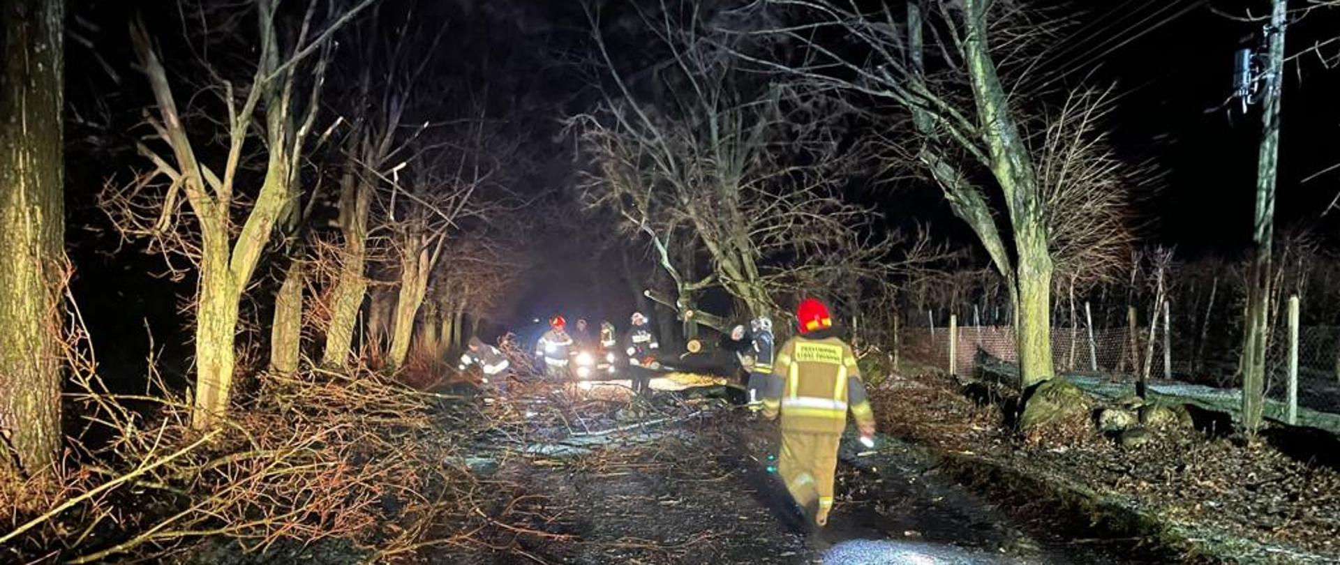 Na drodze asfaltowej, między drzewami znajduje się sześciu strażaków usuwających z drogi połamane gałęzie i drzewa w wyniku wichury. Zdjęcie zrobione jest w nocy.
