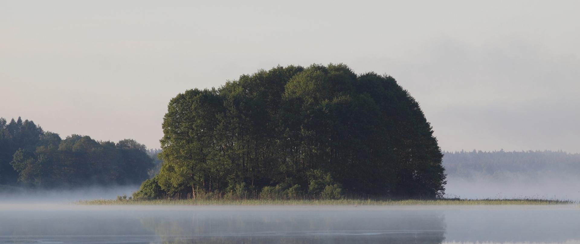 Jezioro spowite mglą. W oddali na środku jest wyspa porośnięta drzewami liściastymi.