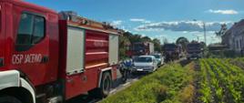 Policja oraz zastępy Państwowej i Ochotniczej Straży pożarnej biorące udział w trakcie poszukiwań