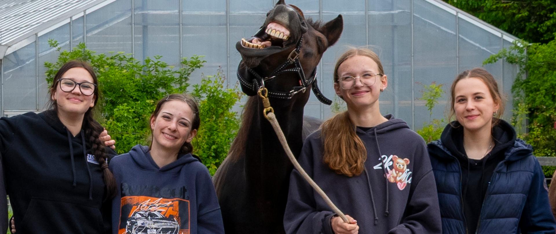 grupa uczennic ze śmiejącym się koniem podczas zajęć plenerowych w Danii
