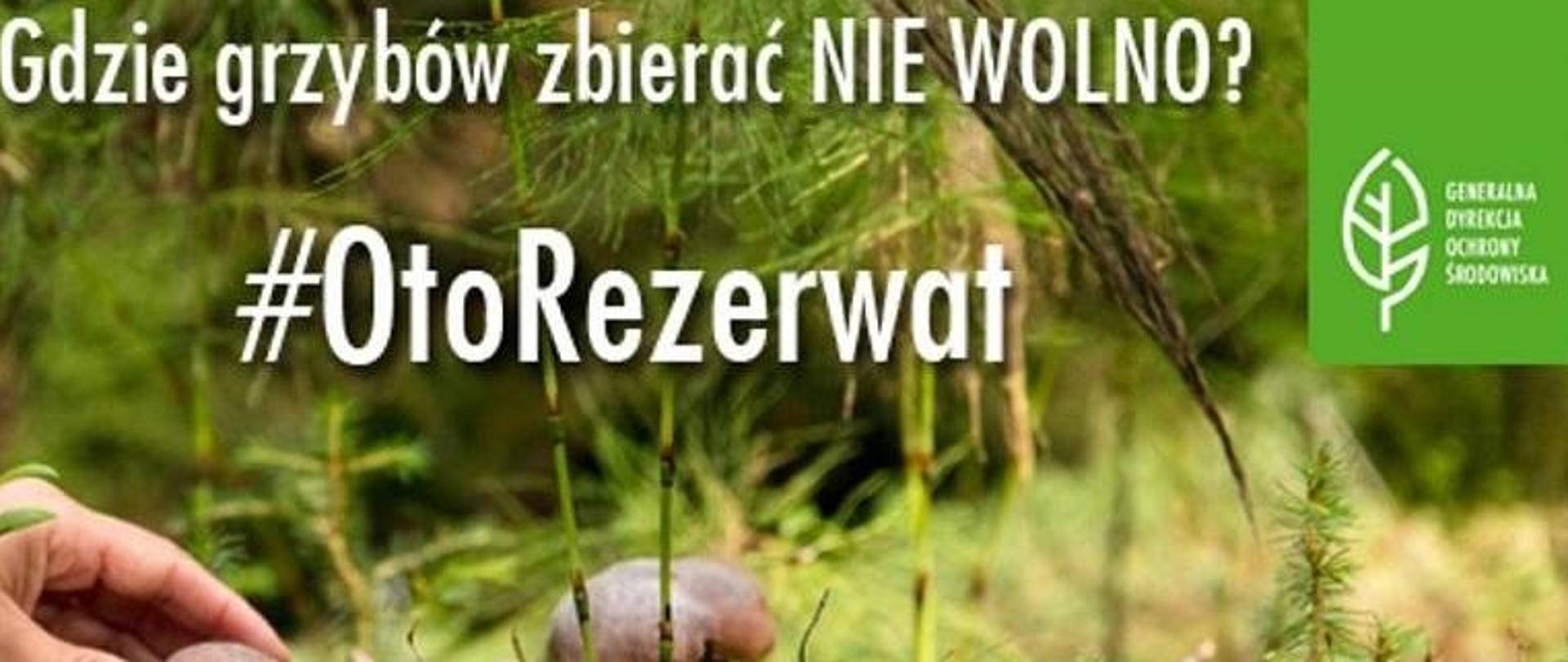 Na tle lasu widoczna dłoń sięgająca po grzyby. Napisy Gdzie grzybów zbierać nie wolo, $ OtoRezerwat