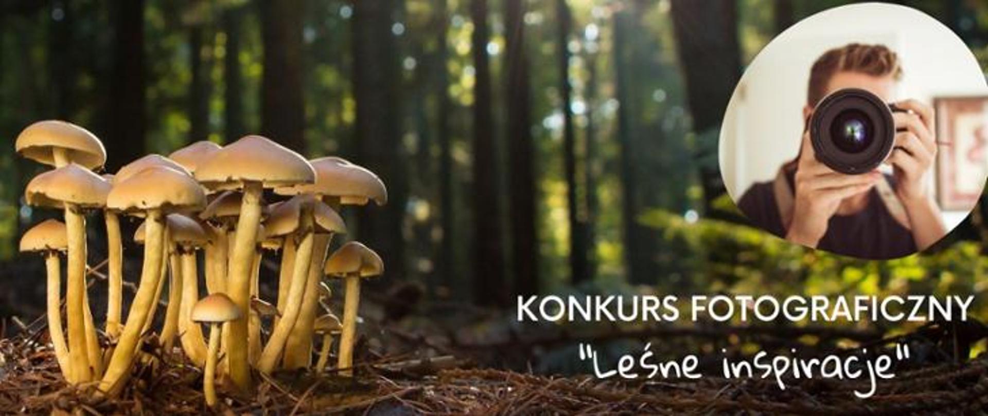 Skupisko grzybów w lesie w runie leśnym, osoba z obiektywem aparatu fotograficznego przy oku, napis: konkurs fotograficzny Leśne inspiracje