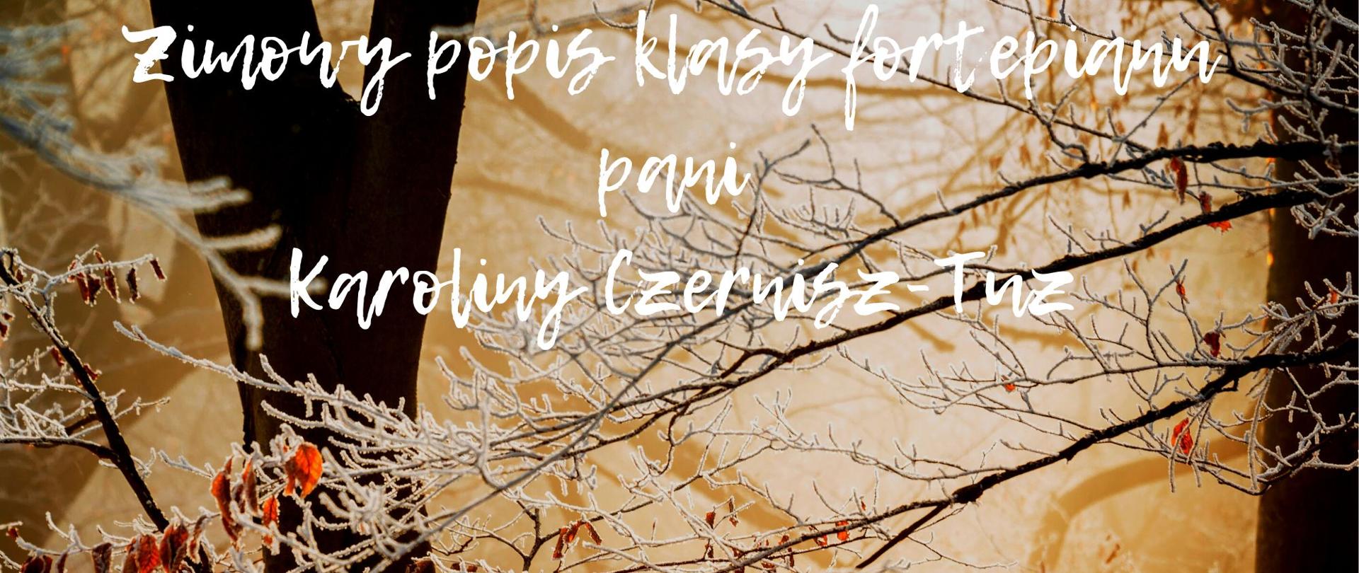 Plakat. Na tle oszronionych gałęzi widnieje napis: Zimowy popis klasy fortepianu pani Karoliny Czernisz-Tuz, Aula PSM I stopnia w Szprotawie 20 stycznia 2023r. godzina 17:15