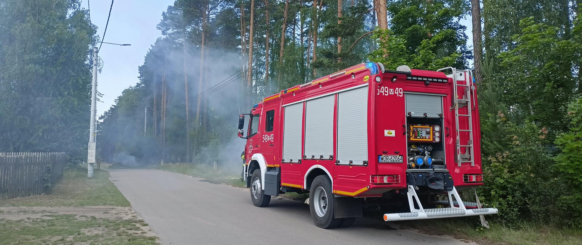 ćwiczenia WIŚNIEWO-LAS-2023