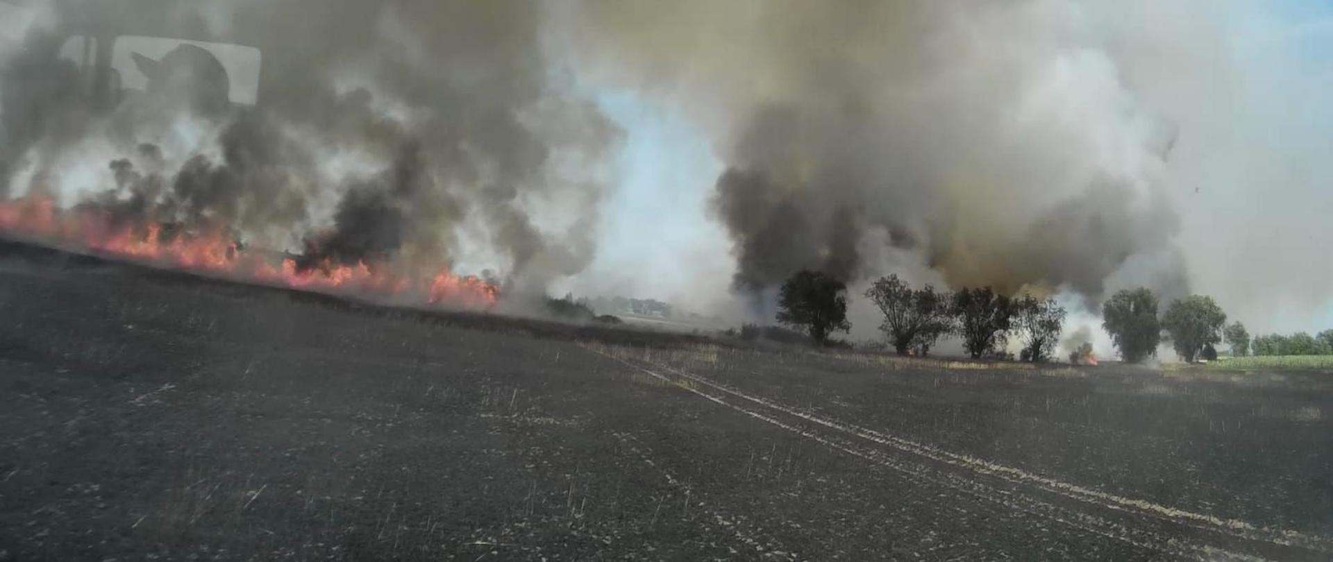 Widok pożaru z kabiny samochodu pożarniczego.