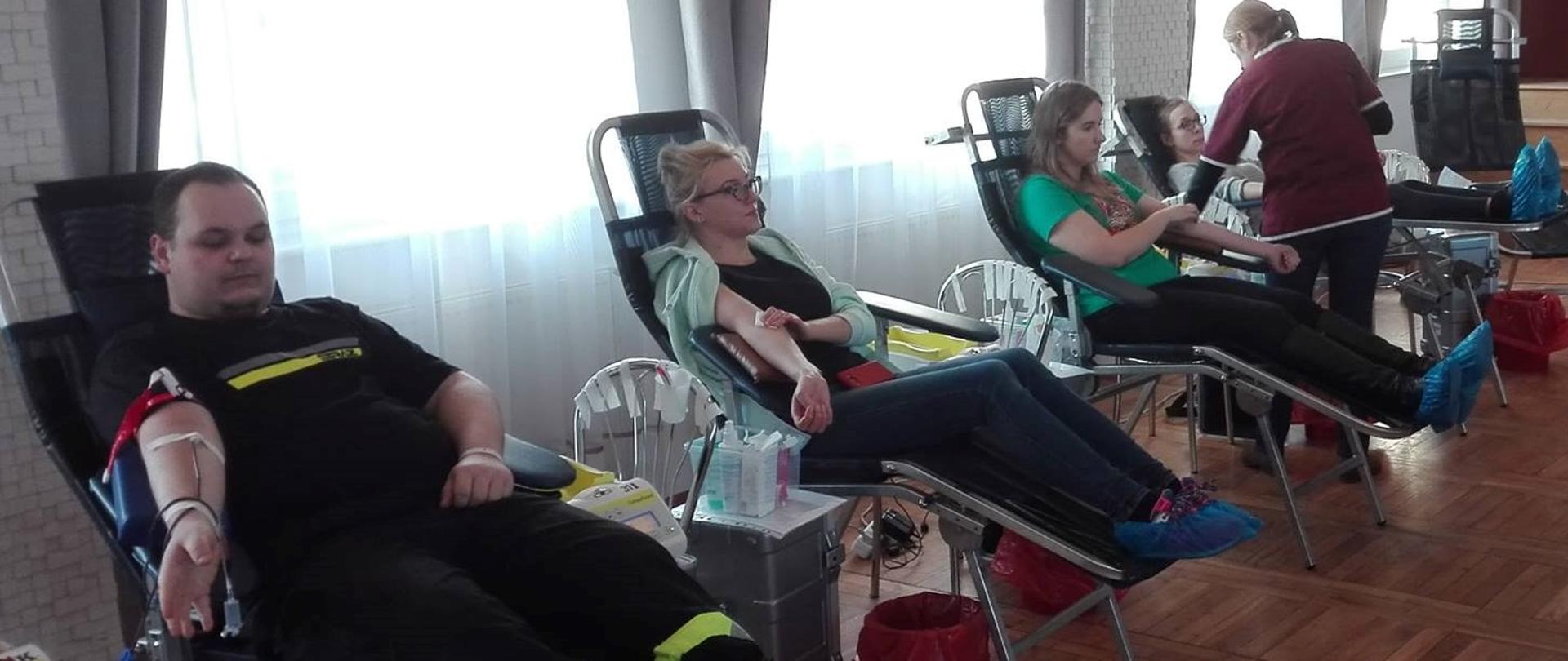 Oddanie-krwi-Kórniku