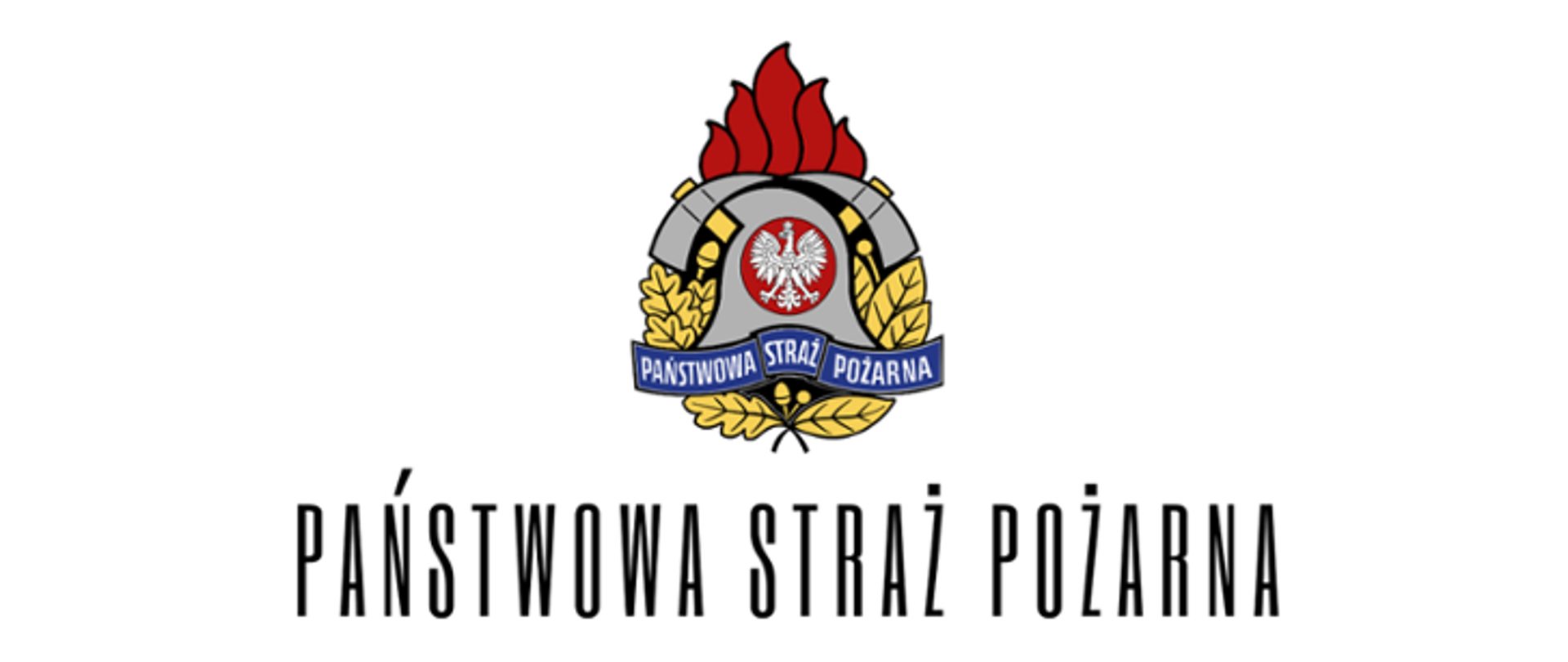 Zdjęcie przedstawia logo Państwowej Straży Pożarnej na białym tle, pod spodem podpis czarnymi literami Państwowa Straż Pożarna
