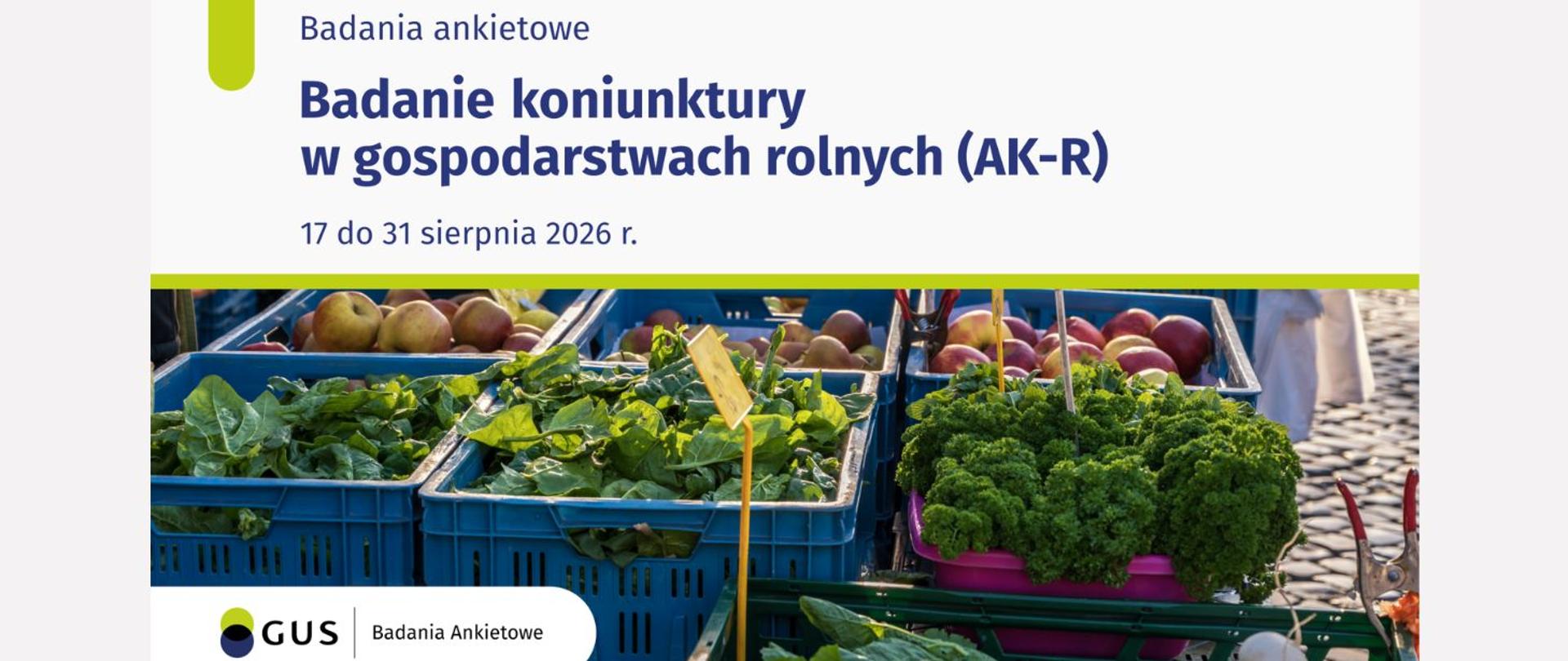 Badanie koniunktury