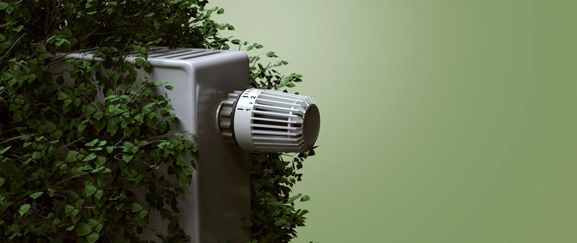 Pokrętło od kaloryfera oraz kaloryfer otoczony zielonym krzakiem. W tle zielona ściana