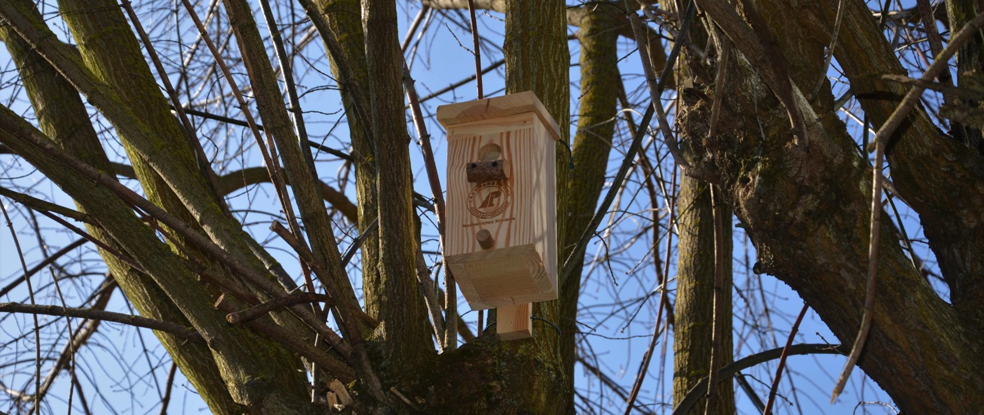 Budka na pniu drzewa.