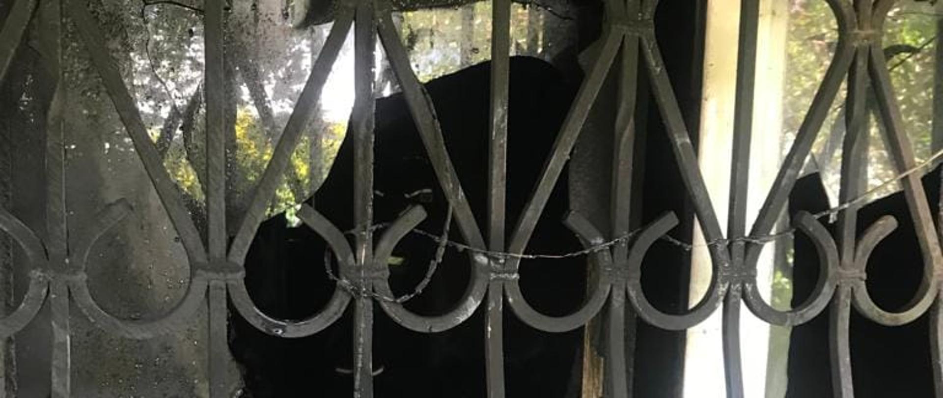 Interwencja strażaków na ul. Stabłowickiej