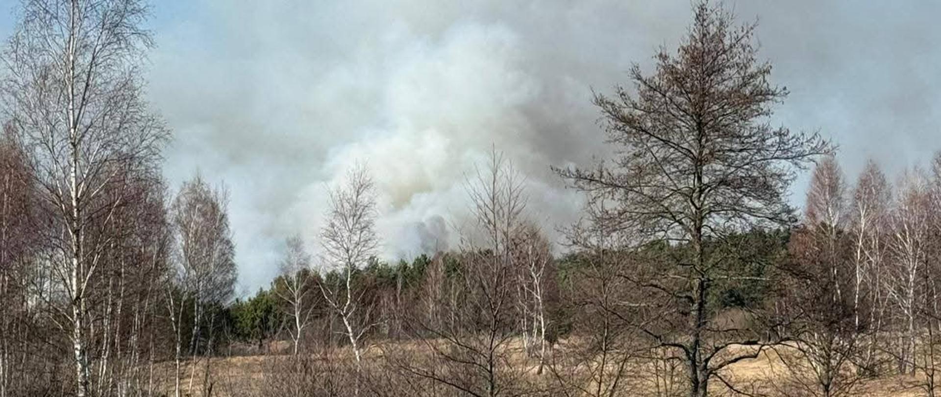 „Rozległy teren łąkowy z pojedynczymi drzewami. W oddali widoczny jest pożar, z którego unoszą się duże, jasnoszare kłęby dymu. Niebo jest bezchmurne, a krajobraz wskazuje na suchą roślinność sprzyjającą rozprzestrzenianiu się ognia.”