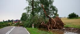 Skutki nawałnic nad powiatem sokólskim