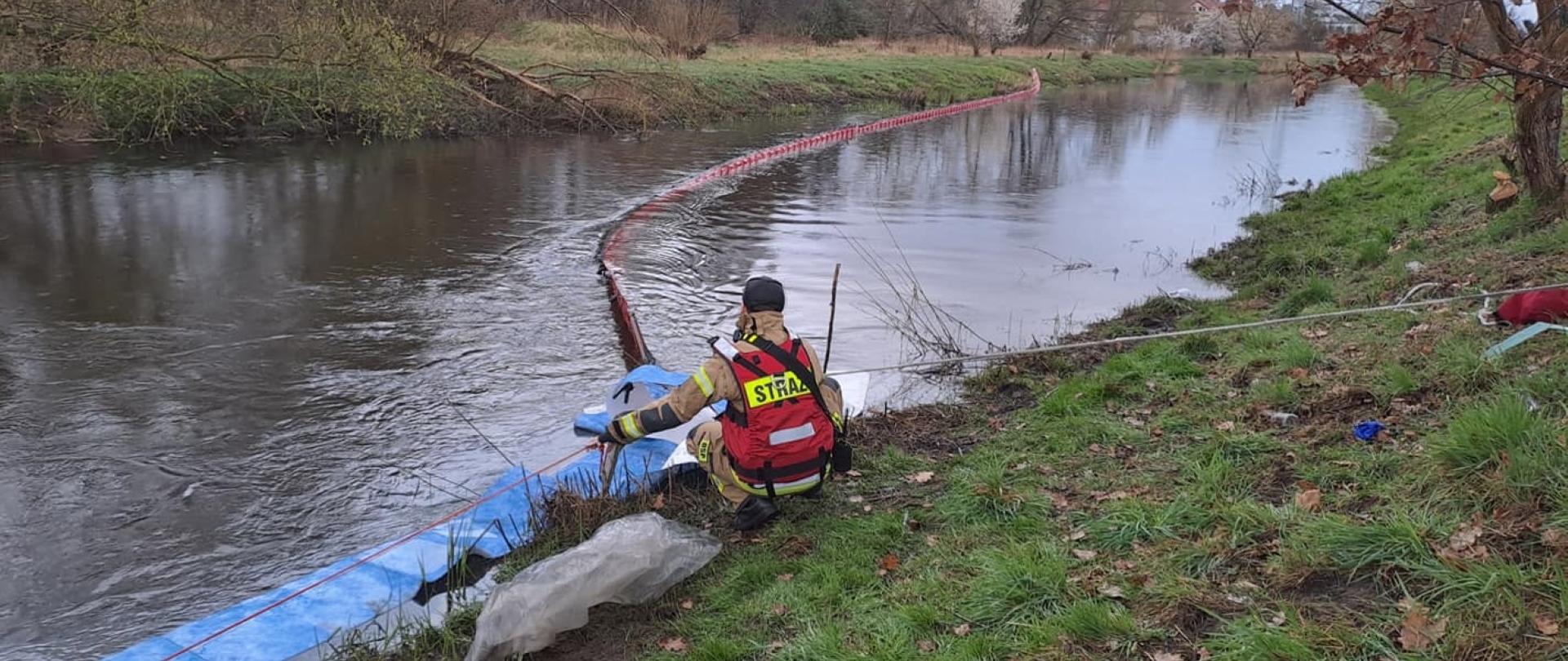 Ograniczanie zanieczyszczenia rzeki Iny