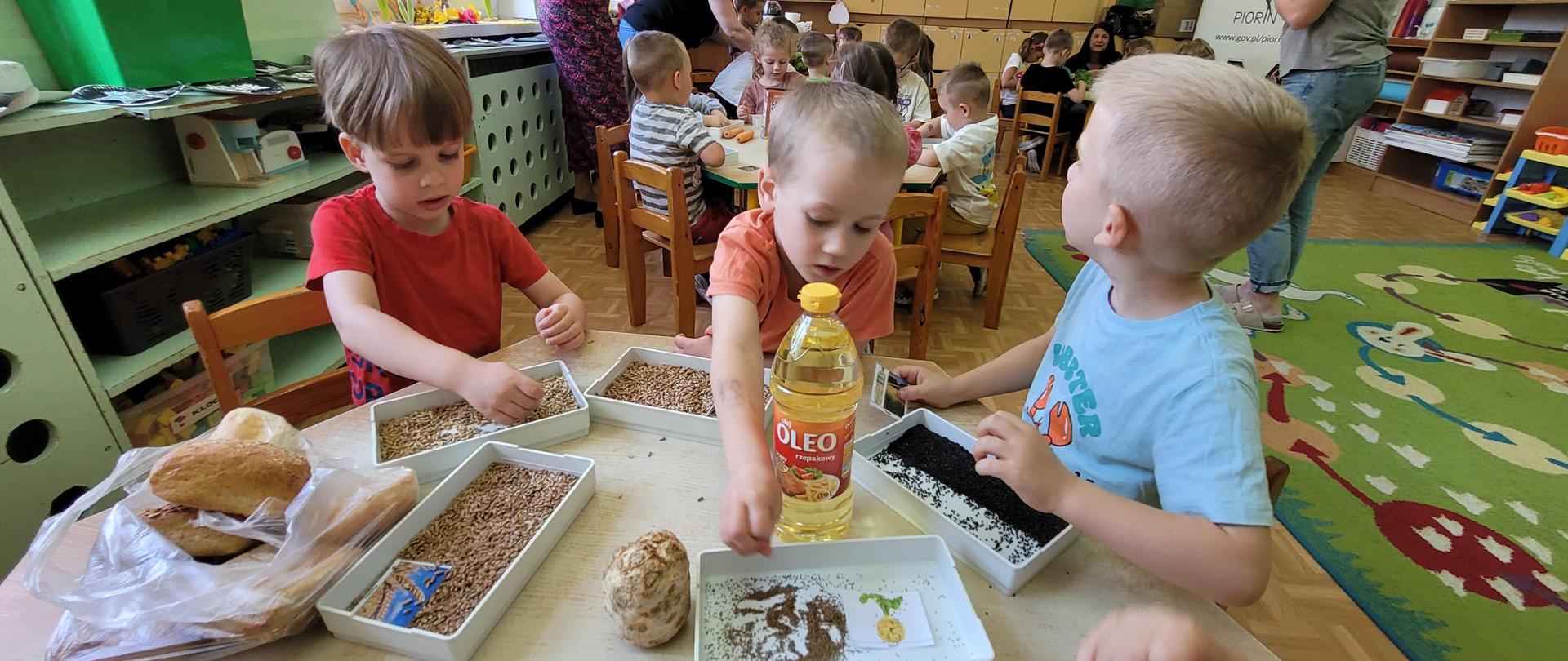 Co z tego urośnie ,czyli wspólne poznawanie nasion - warsztaty w przedszkolu