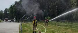 Na zdjęciu strażacy podają wodę na zagrożony pożarem las