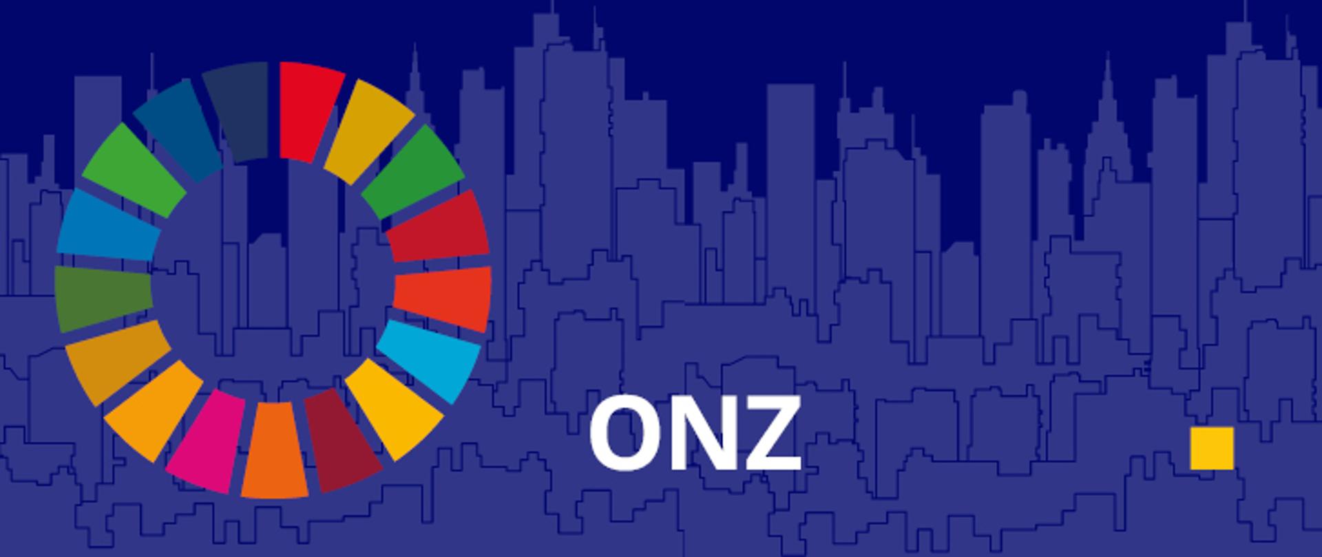 Organizacja Narodów Zjednoczonych