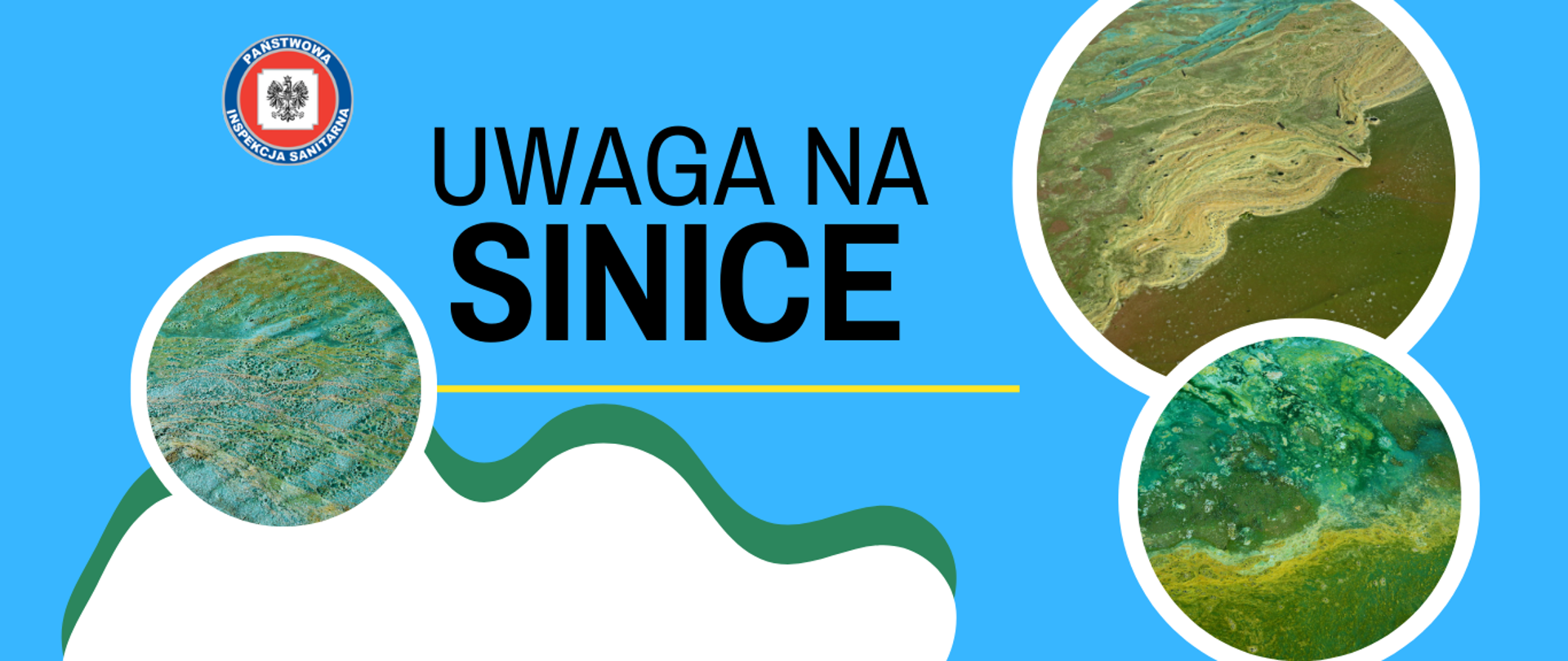 Na niebieskim tle przedstawione są zdjęcia sinic w zbiornikach wodnych, napis uwaga na sinice oraz logo Państwowej Inspekcji Sanitarnej. 