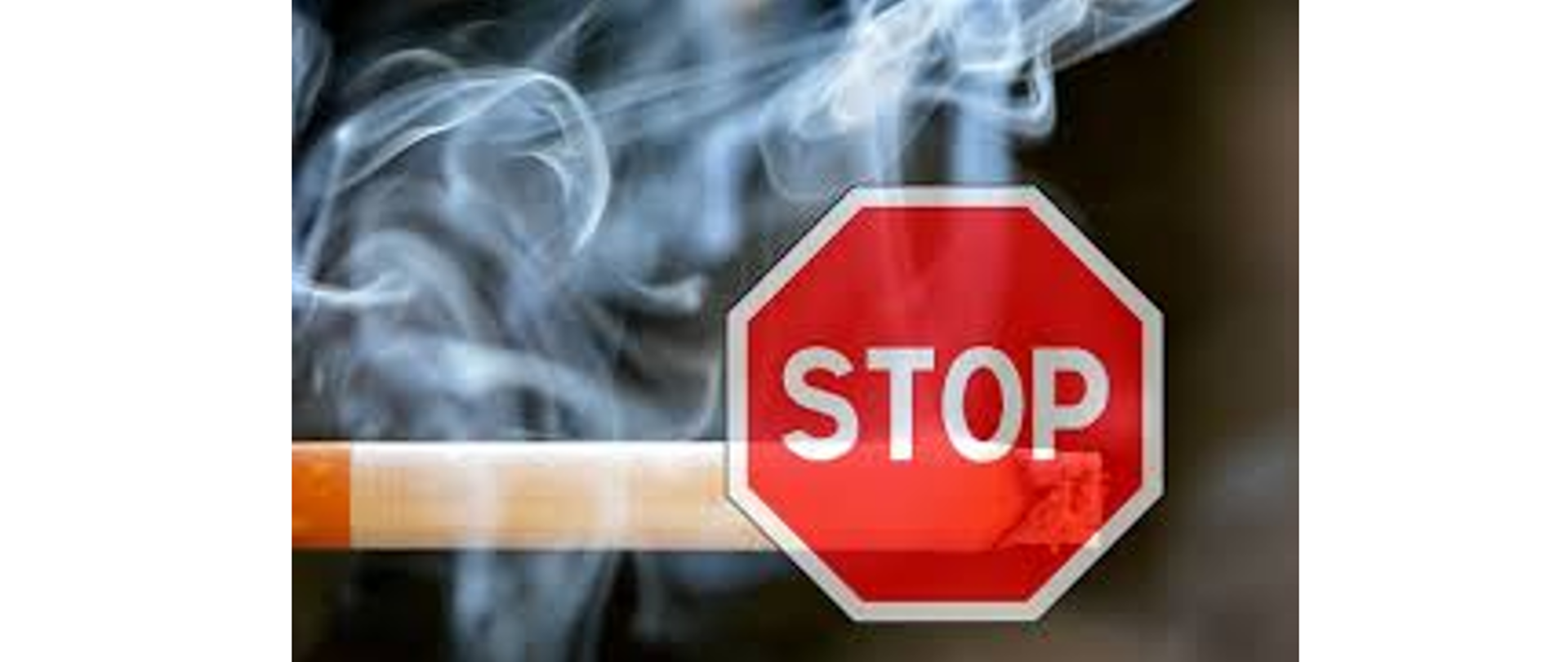 
Wojewódzki Konkurs Fotograficzny „Sam nie palę i innym odradzam
