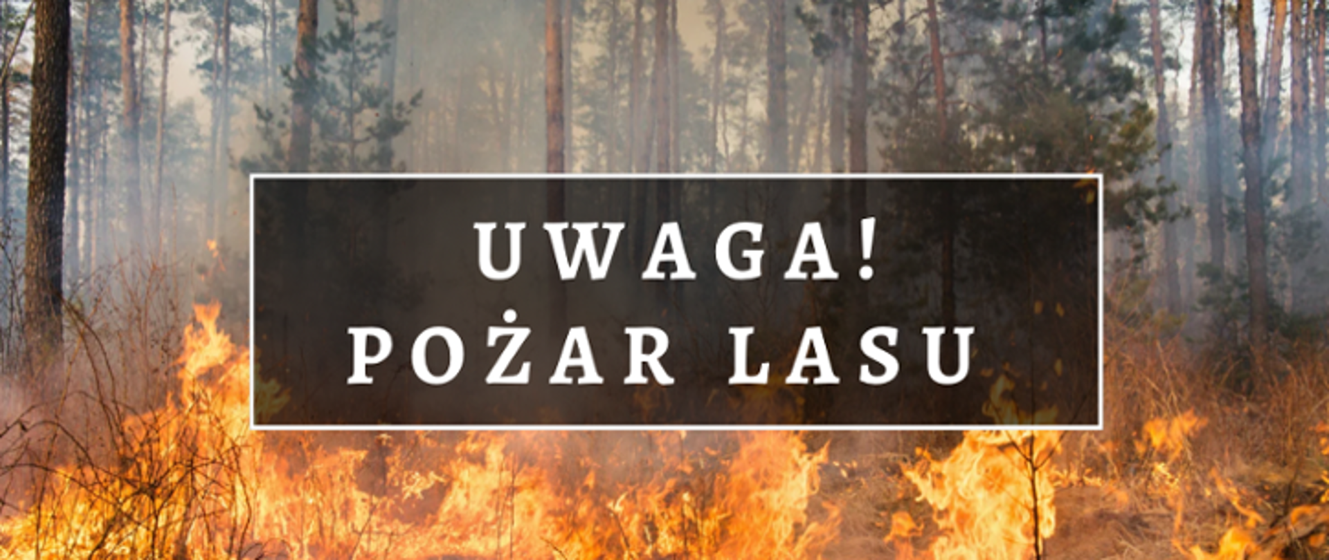 Na tle płonącego lasu widnieje napis "Uwaga Pożar Lasu" 
