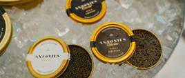 Antomius Caviar na lodzie