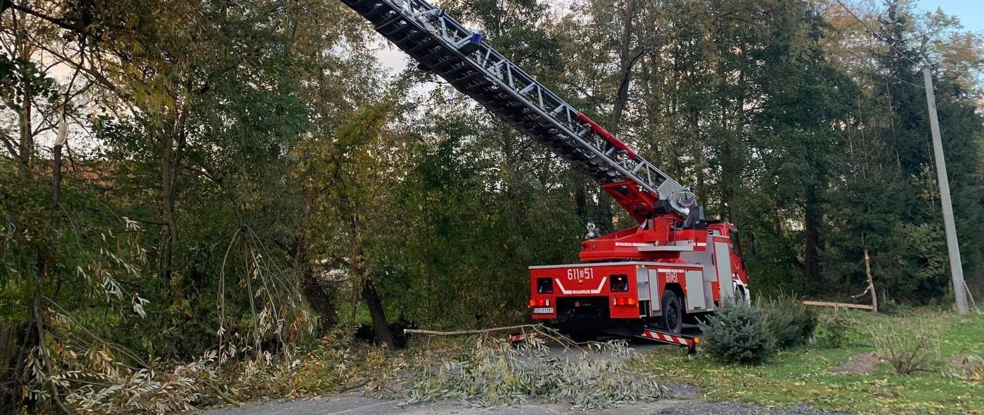 drabina mechaniczna z koszem, w którym strażak usuwa nadłamane konary drzewa