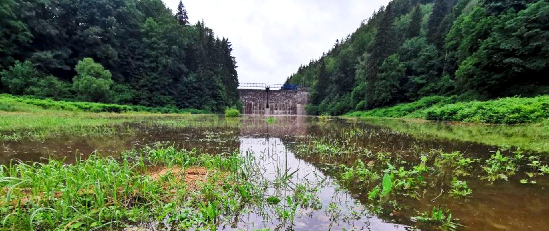 Czasza zbiornik Międzygórze na potoku Wilczka.