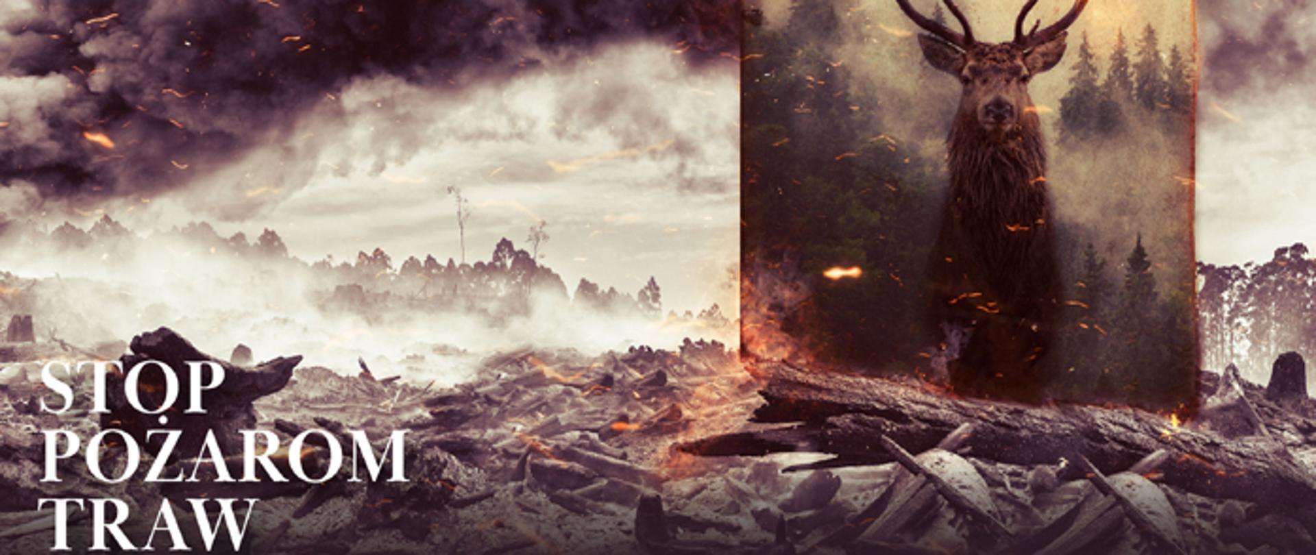 Plakat kampanii Stop pożarom traw - widok spalonego lasu
