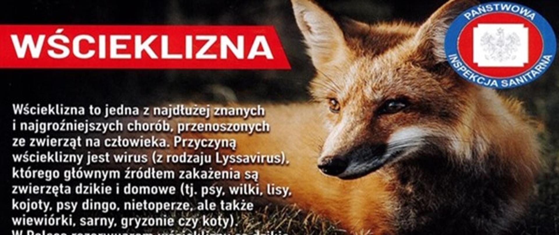 Logo wścieklizna, czarne tło po lewej na górze napis wścieklizna na czerwonym polu, po prawej logo stacji PSSE, pod spodem zdjęcie lisa.